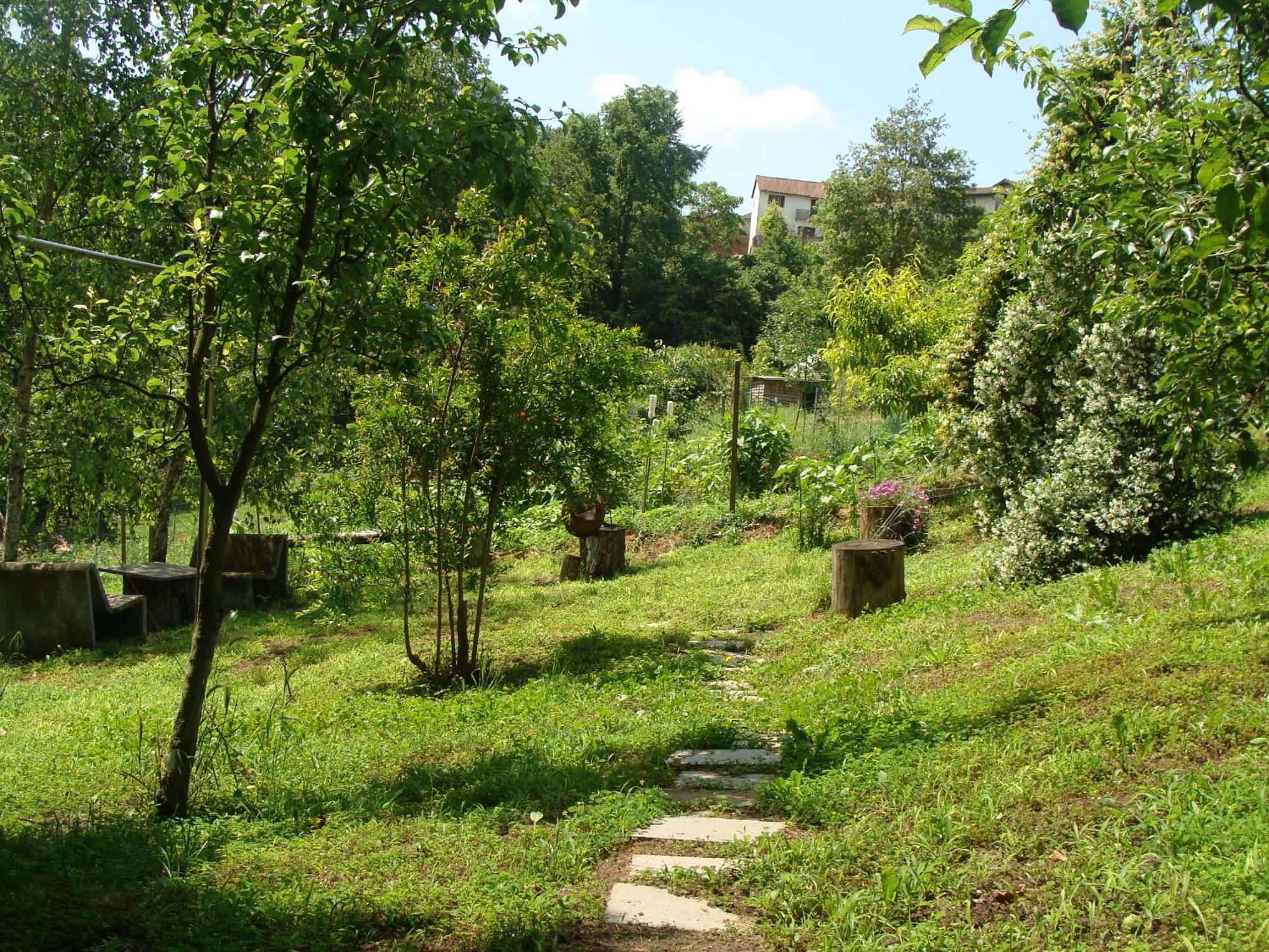 Appartamento In Monferrato Di Dominga Portacomaro Exteriér fotografie